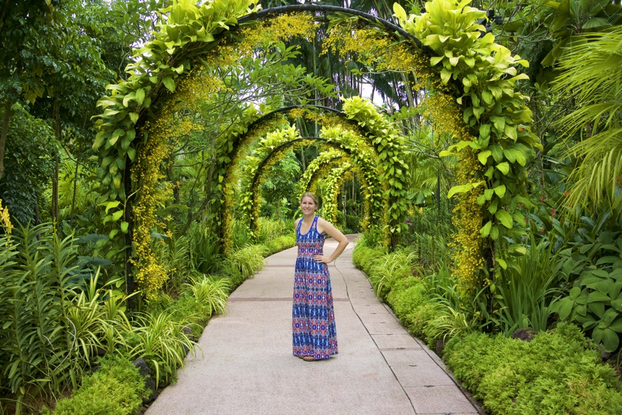 dsc_7911